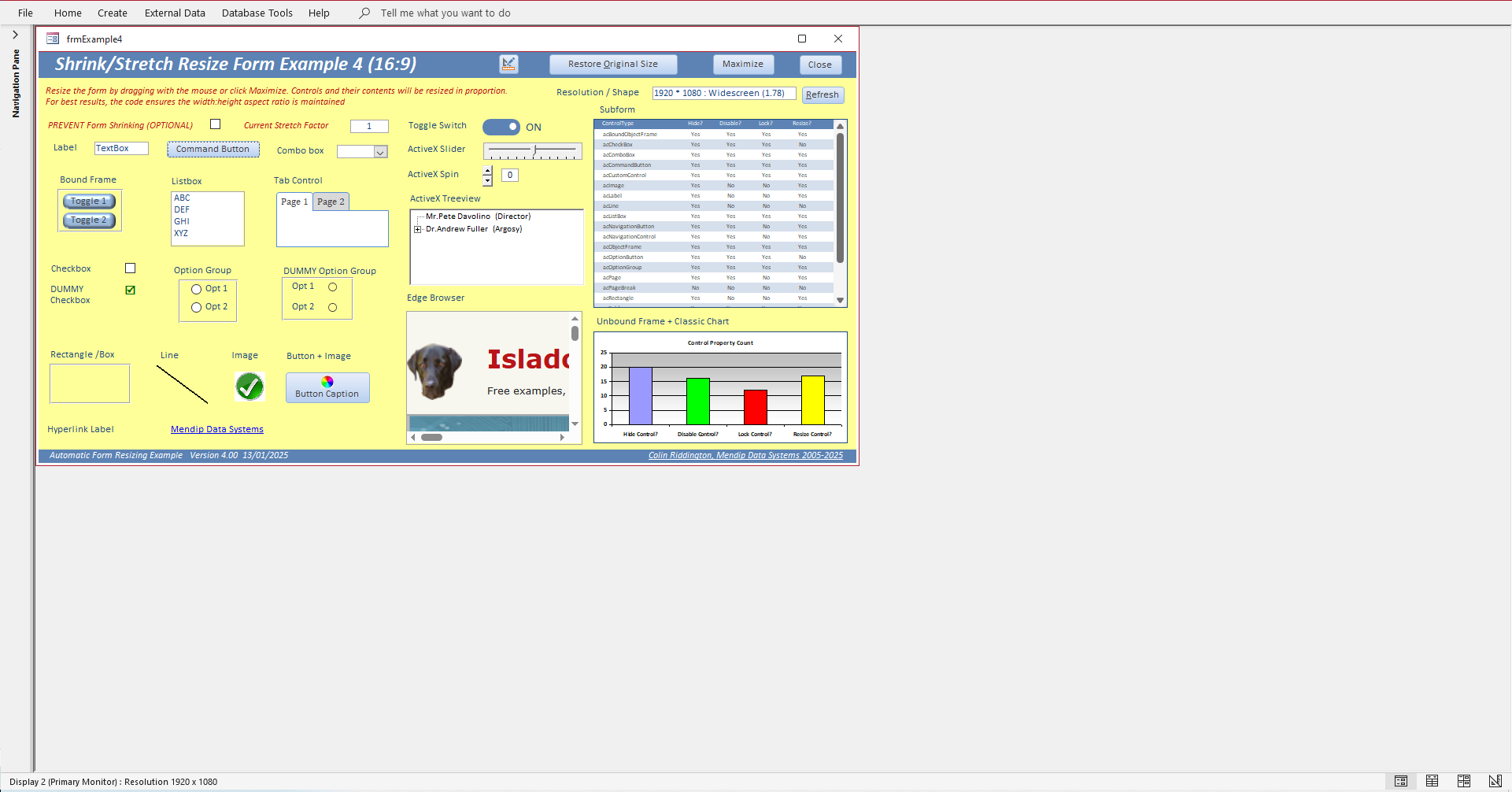 ExampleForm4