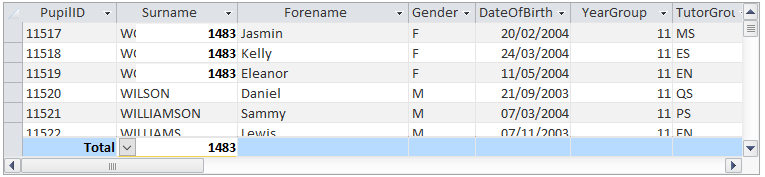 Totals Row Bug