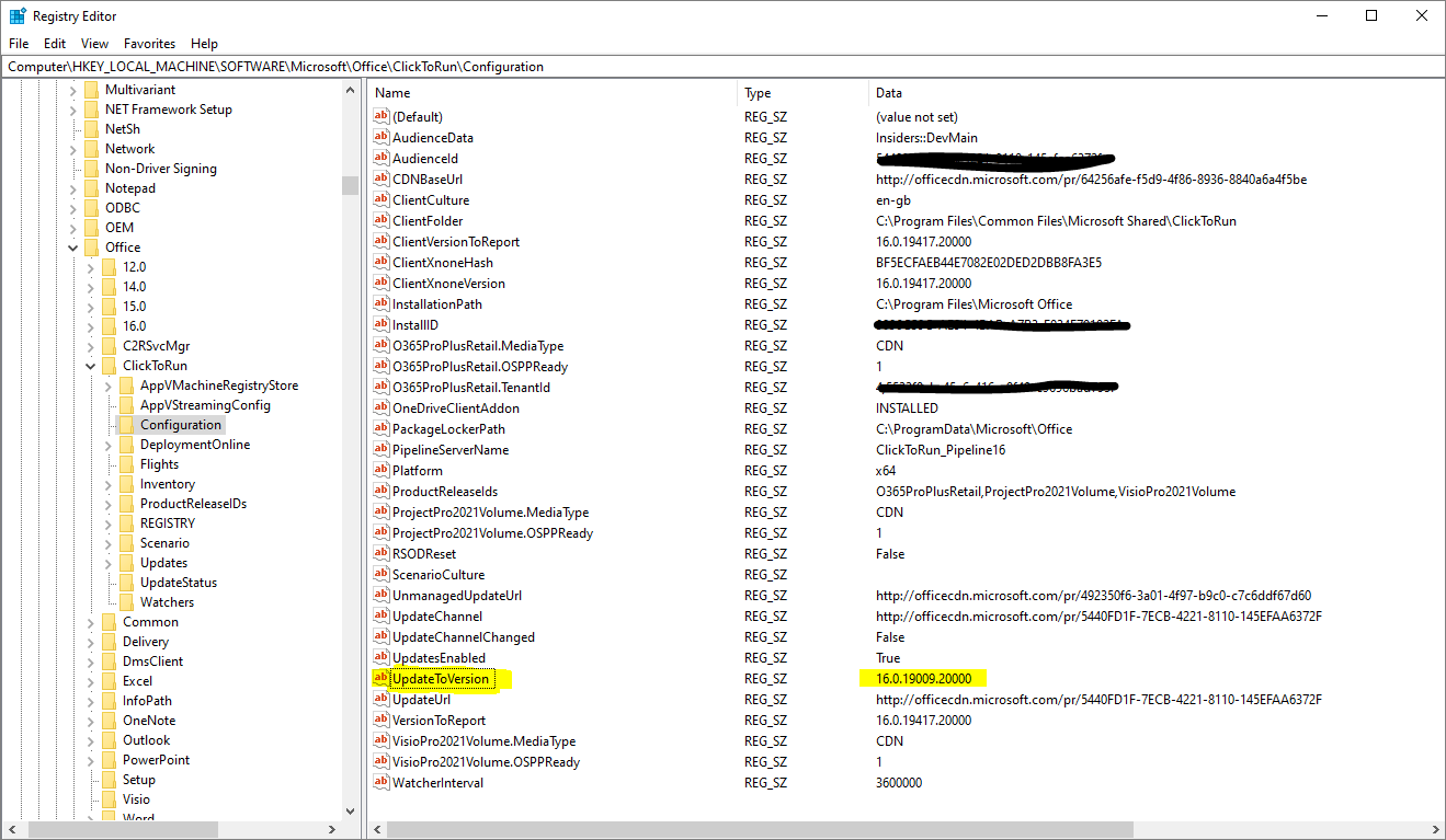 Registry Update to Version key