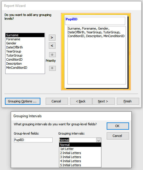 ReportWizardGrouping