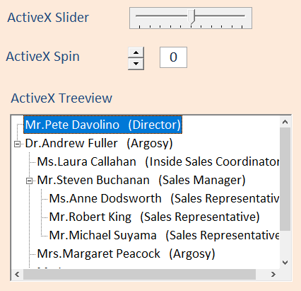 100% Zoom - ActiveX controls